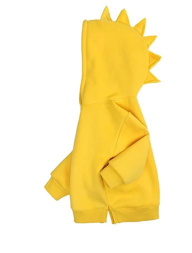 Dinosaur Hoodie