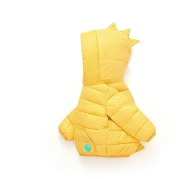 Dinosaur Coat