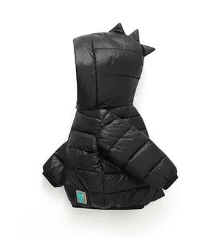 Dinosaur Coat