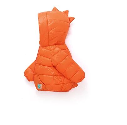 Dinosaur Coat
