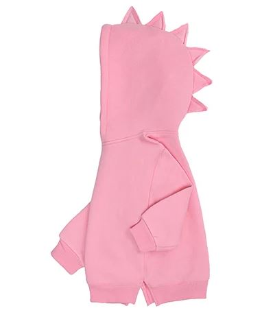 Dinosaur Hoodie
